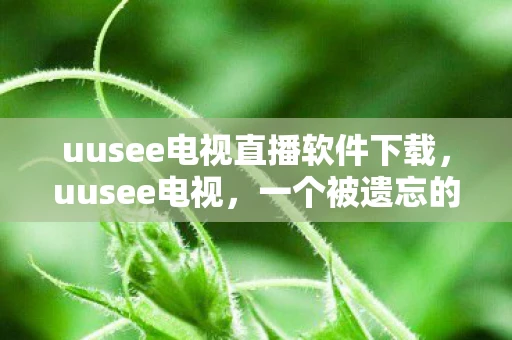 uusee电视直播软件下载，uusee电视，一个被遗忘的电视品牌，它的兴衰与启示