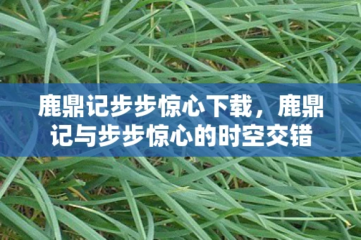 鹿鼎记步步惊心下载，鹿鼎记与步步惊心的时空交错