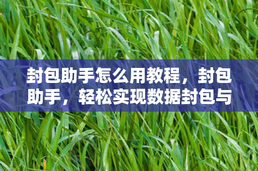 封包助手怎么用教程，封包助手，轻松实现数据封包与解包