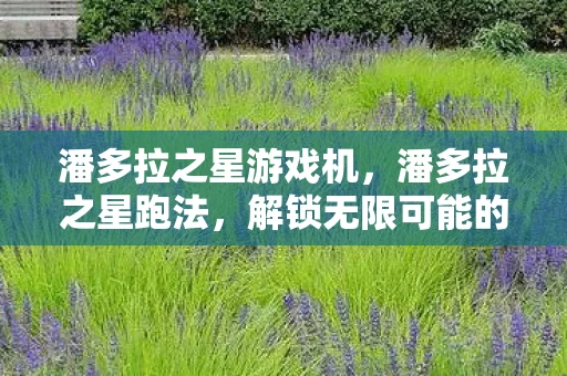 潘多拉之星游戏机，潘多拉之星跑法，解锁无限可能的竞速技巧