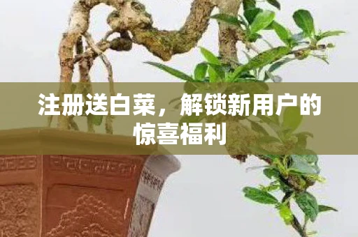 注册送白菜，解锁新用户的惊喜福利