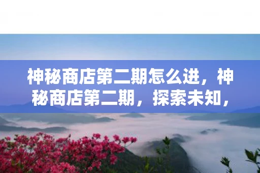 神秘商店第二期怎么进,神秘商店第二期,探索未知,发现惊喜 神秘商店第二期怎么进,神秘商店第二期,探索未知,发现惊喜