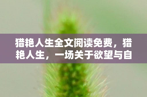 猎艳人生全文阅读免费,猎艳人生,一场关于欲望与自由的探索之旅 猎艳人生全文阅读免费,猎艳人生,一场关于欲望与自由的探索之旅