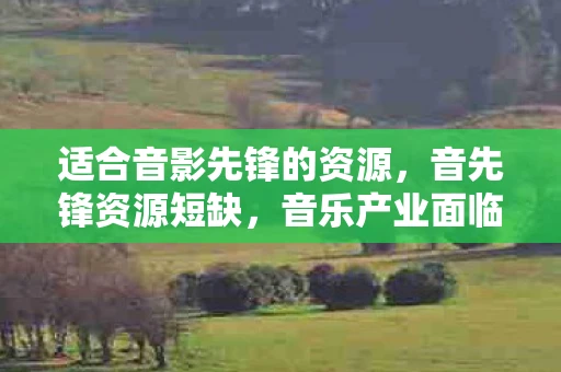 适合音影先锋的资源，音先锋资源短缺，音乐产业面临的困境与未来展望