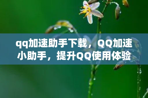 qq加速助手下载，QQ加速小助手，提升QQ使用体验的小技巧