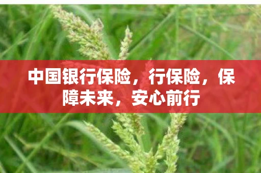 中国银行保险,行保险,保障未来,安心前行 中国银行保险,行保险,保障未来,安心前行