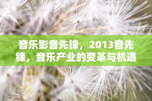 音乐影音先锋,2013音先锋,音乐产业的变革与机遇 音乐影音先锋,2013音先锋,音乐产业的变革与机遇