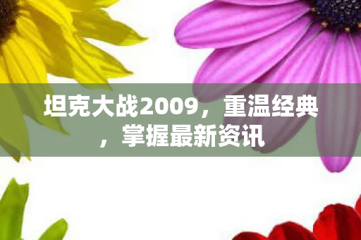 坦克大战2009图片