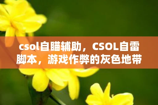 csol自瞄辅助，CSOL自雷脚本，游戏作弊的灰色地带
