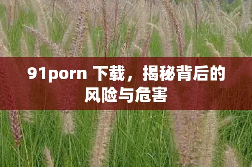 91porn 下载,揭秘背后的风险与危害 91porn 下载,揭秘背后的风险与危害