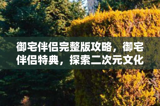 御宅伴侣完整版攻略，御宅伴侣特典，探索二次元文化的独特魅力