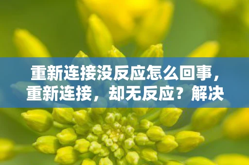 重新连接没反应怎么回事,重新连接,却无反应?解决设备连接问题的全面指南 重新连接没反应怎么回事,重新连接,却无反应?解决设备连接问题的全面指南
