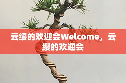 云缨的欢迎会Welcome，云缨的欢迎会