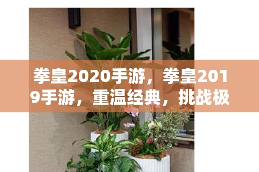 拳皇2020手游,拳皇2019手游,重温经典,挑战极限 拳皇2020手游,拳皇2019手游,重温经典,挑战极限