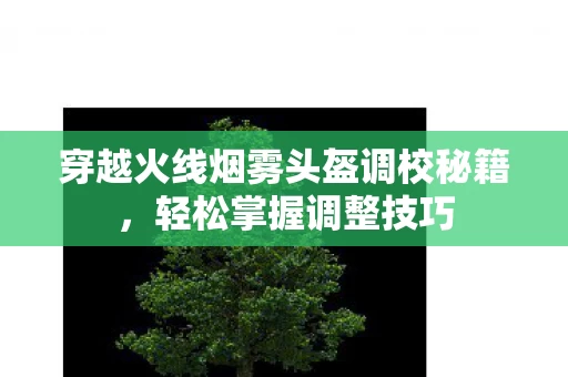 穿越火线烟雾头盔调校秘籍图片