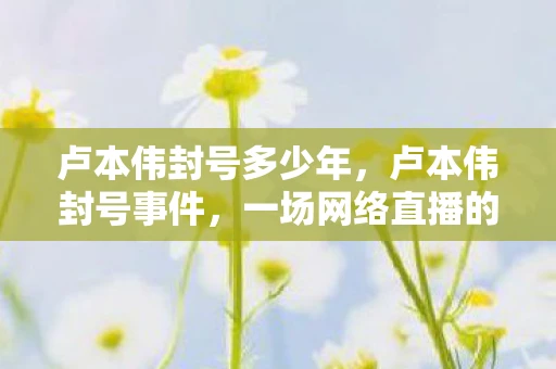 卢本伟封号多少年,卢本伟封号事件,一场网络直播的悲喜剧 卢本伟封号多少年,卢本伟封号事件,一场网络直播的悲喜剧