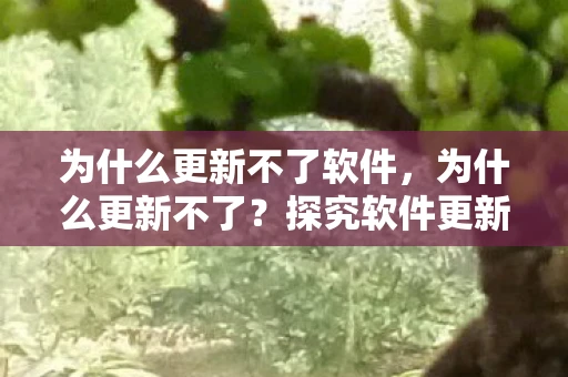为什么更新不了软件,为什么更新不了?探究软件更新的困境与解决方案 为什么更新不了软件,为什么更新不了?探究软件更新的困境与解决方案