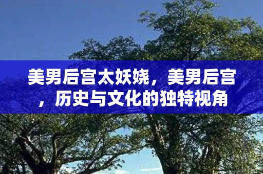 美男后宫太妖娆，美男后宫，历史与文化的独特视角