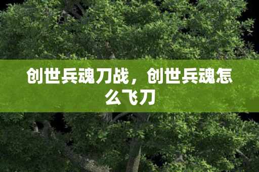 创世兵魂刀战，创世兵魂怎么飞刀