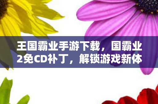 王国霸业手游下载，国霸业2免CD补丁，解锁游戏新体验，但需注意风险