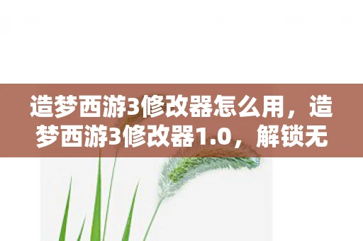 造梦西游3修改器怎么用，造梦西游3修改器1.0，解锁无限可能的冒险之旅