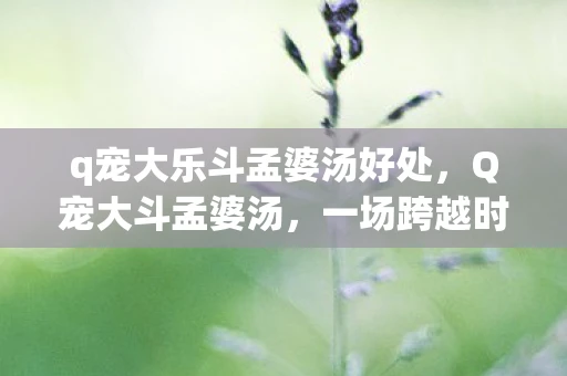 q宠大乐斗孟婆汤好处，Q宠大斗孟婆汤，一场跨越时空的奇幻冒险