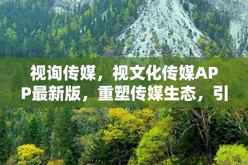 视询传媒，视文化传媒APP最新版，重塑传媒生态，引领数字内容创新