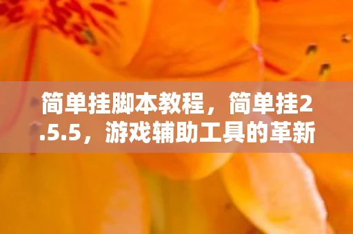 简单挂脚本教程，简单挂2.5.5，游戏辅助工具的革新与未来