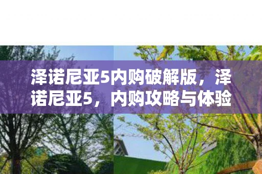 泽诺尼亚5内购破解版，泽诺尼亚5，内购攻略与体验分享