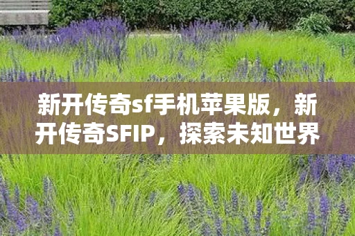 新开传奇sf手机苹果版，新开传奇SFIP，探索未知世界的冒险之旅