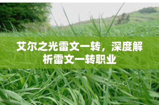 深度解析雷文一转职业图片