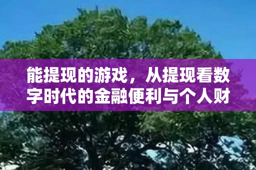 能提现的游戏，从提现看数字时代的金融便利与个人财务管理