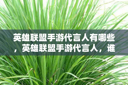 英雄联盟手游代言人有哪些，英雄联盟手游代言人，谁将成为你的游戏偶像？