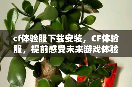 cf体验服下载安装，CF体验服，提前感受未来游戏体验的绝佳平台