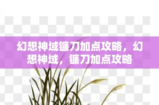幻想神域镰刀加点攻略，幻想神域，镰刀加点攻略