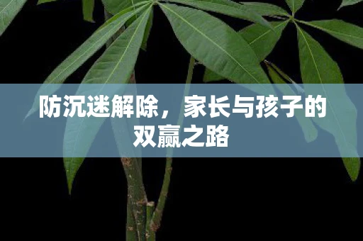 防沉迷解除，家长与孩子的双赢之路