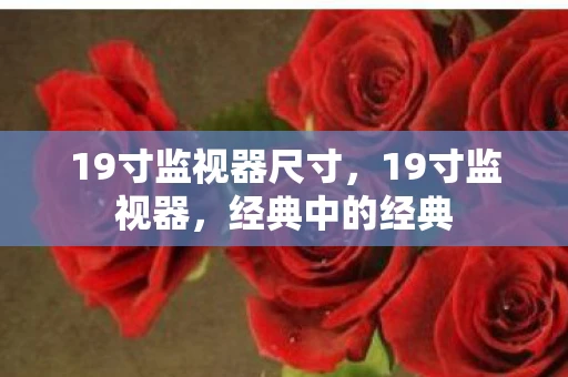 19寸监视器尺寸，19寸监视器，经典中的经典