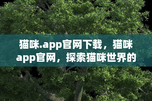 猫咪.app官网下载，猫咪app官网，探索猫咪世界的奇妙之旅