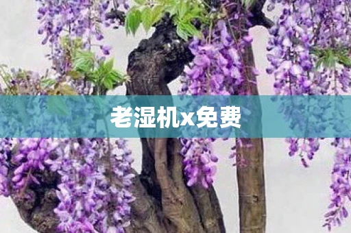 老湿机x免费