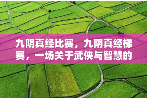 九阴真经比赛，九阴真经梯赛，一场关于武侠与智慧的较量