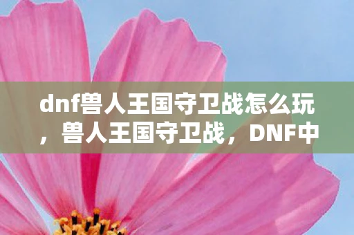 dnf兽人王国守卫战怎么玩，兽人王国守卫战，DNF中的荣耀与牺牲