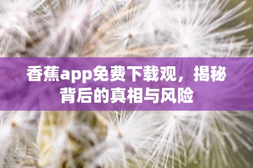香蕉app免费下载观，揭秘背后的真相与风险