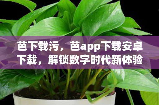 芭下载污，芭app下载安卓下载，解锁数字时代新体验