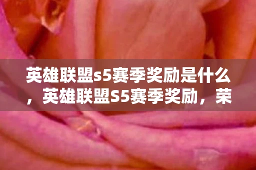 英雄联盟s5赛季奖励是什么，英雄联盟S5赛季奖励，荣耀与梦想的见证