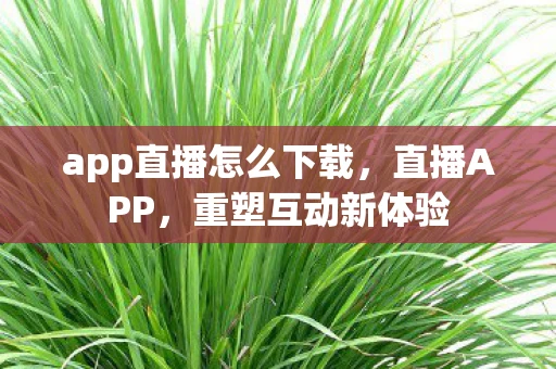 app直播怎么下载，直播APP，重塑互动新体验