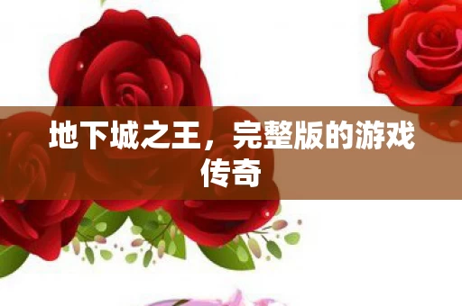 完整版的游戏传奇图片