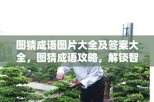 图猜成语图片大全及答案大全，图猜成语攻略，解锁智慧之门的钥匙
