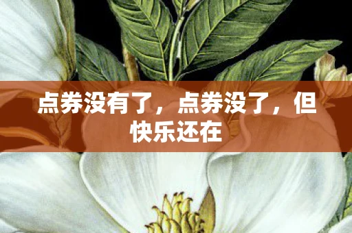 点券没有了，点券没了，但快乐还在