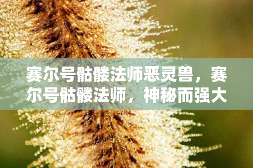 赛尔号骷髅法师恶灵兽，赛尔号骷髅法师，神秘而强大的存在