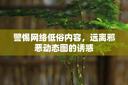 警惕网络低俗内容，远离邪恶动态图的诱惑